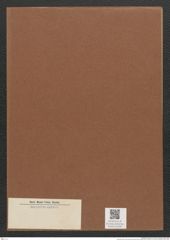 Diatomeae indet. Zeichnungen Sammlung Grunow Mappe 02309 (Herbarium_W_Grunow_drawings_Folder_02309)